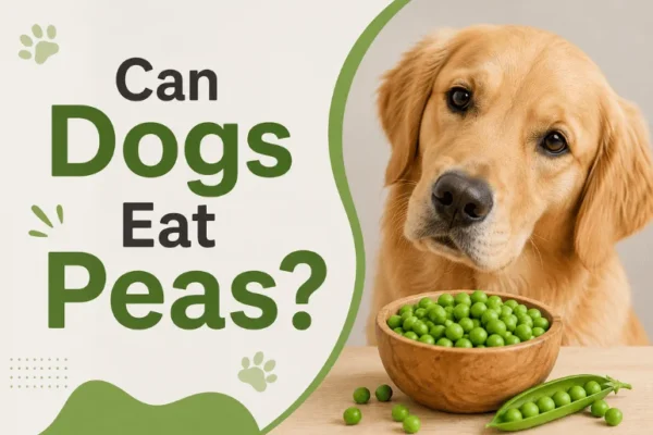 Can Dogs Eat Peas? A Complete Guide to 6 Pea Types, Safety, Health Benefits, and Feeding Tips for 2026