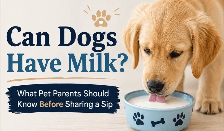 Can Dogs Have Milk? What Pet Parents Should Know Before Sharing a Sip 