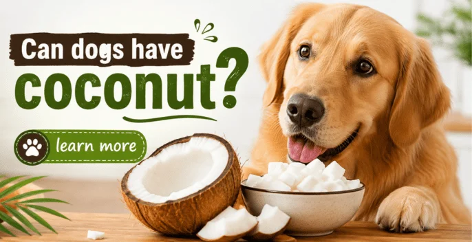 Can Dogs Have Coconut? The Complete Guide To Safe Portions, Coconut Oil Risks, Water, Milk, Flesh, And Dangerous Shells