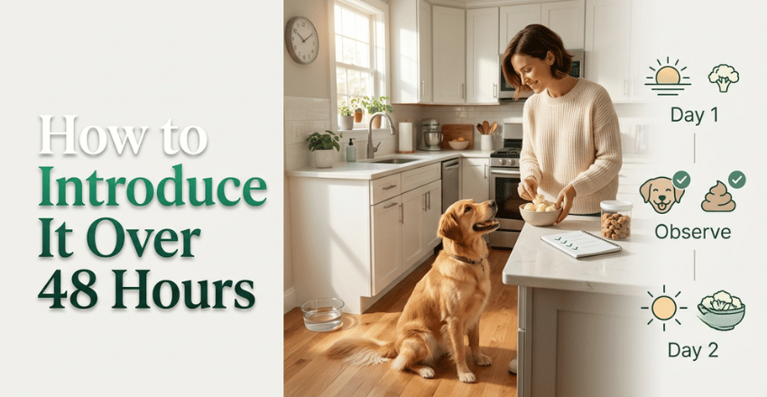How to introduce it over 48 hours