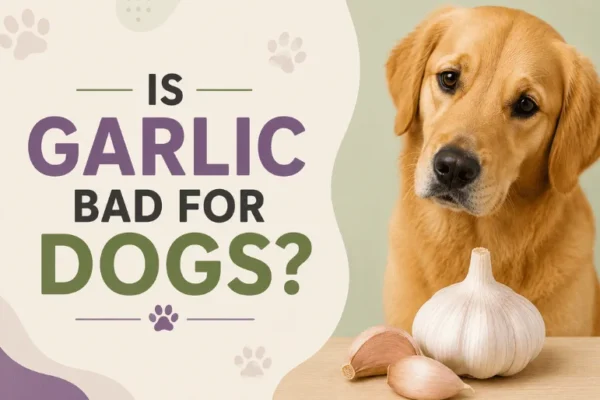 Is Garlic Bad for Dogs? Toxic Dose by Weight, Symptoms, and What Every Pet Owner Should Know in 2026