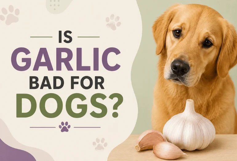 Is Garlic Bad for Dogs? Toxic Dose by Weight, Symptoms, and What Every Pet Owner Should Know in 2026