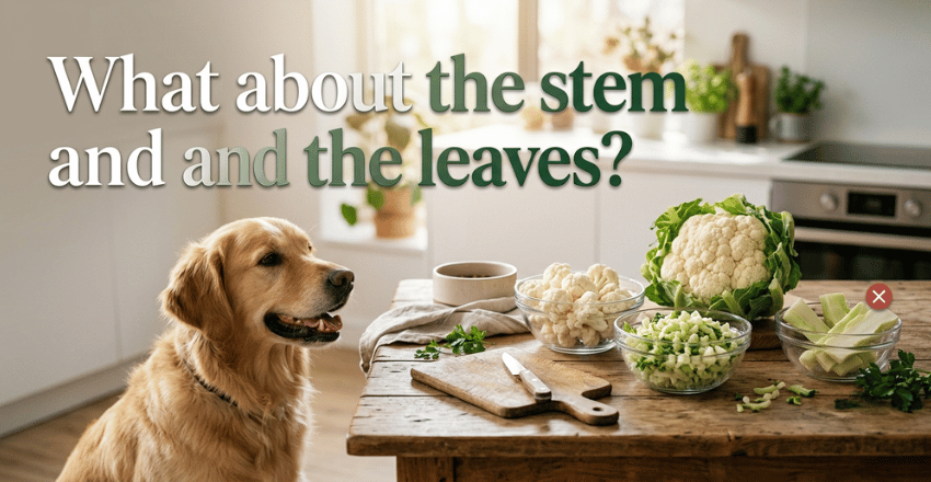 What about the stem and the leaves?